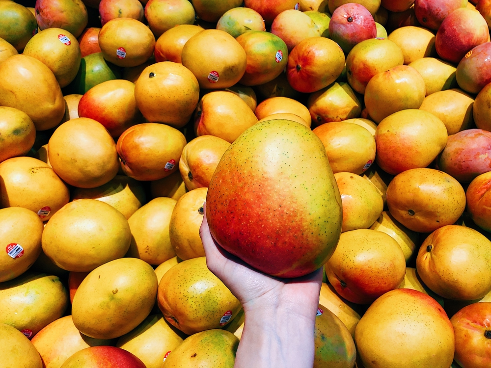 Birden çok mango içerisinden bir mango tutan el.