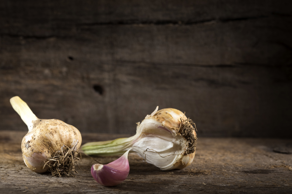 2 Adet masanın üzerinde bulunan sarımsak.