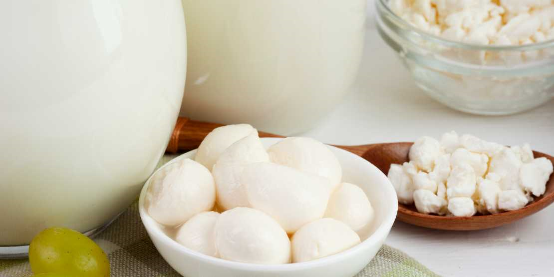 Protein Nedir?